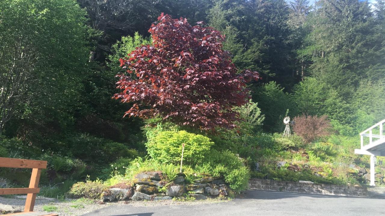 Kelli Creek Cottage - REDUCED PRICE ON TOURS Juneau Esterno foto