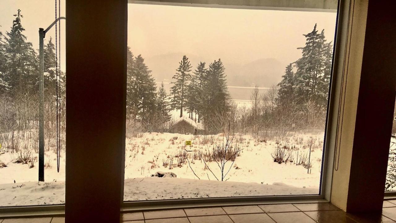 Kelli Creek Cottage - REDUCED PRICE ON TOURS Juneau Esterno foto