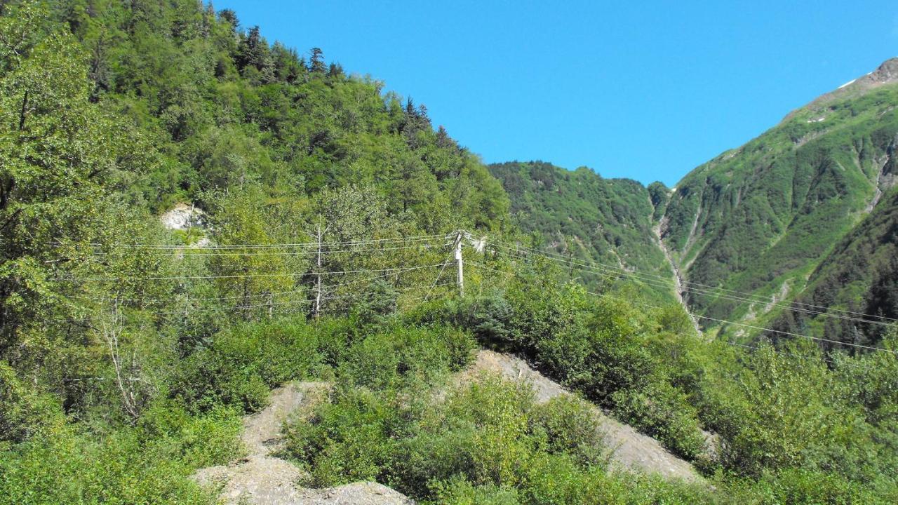 Kelli Creek Cottage - REDUCED PRICE ON TOURS Juneau Esterno foto