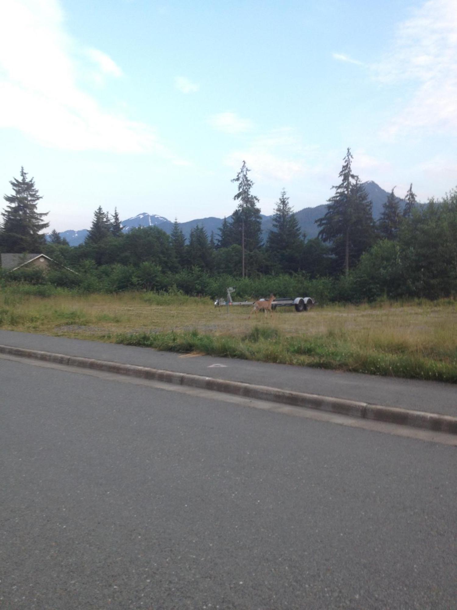 Kelli Creek Cottage - REDUCED PRICE ON TOURS Juneau Esterno foto
